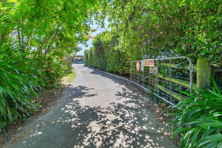 Photo of property in 229 Koputaroa Road, Koputaroa, Levin, 5575