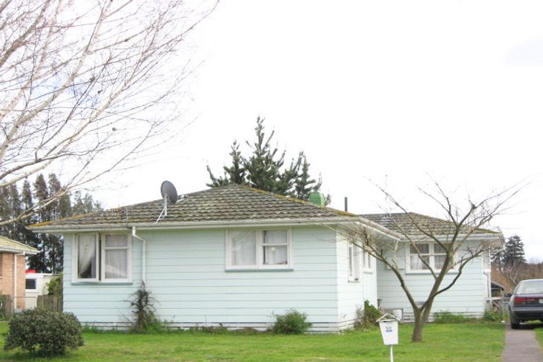 Photo of property in 58 Lipscombe Crescent, Havelock North, 4130