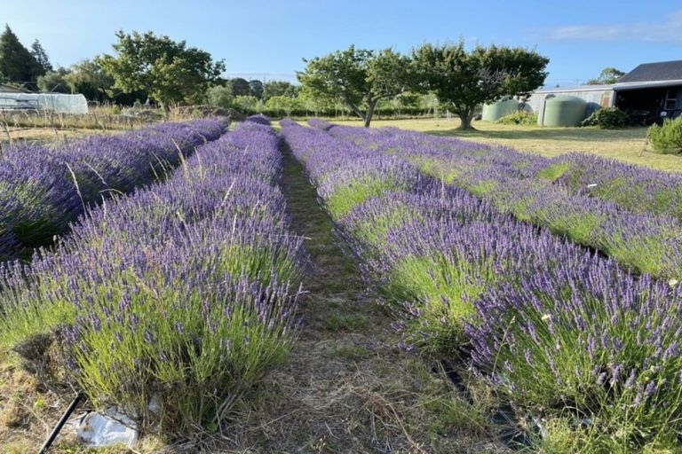 Photo of property in 11 Mount Heslington Road, Brightwater, 7091