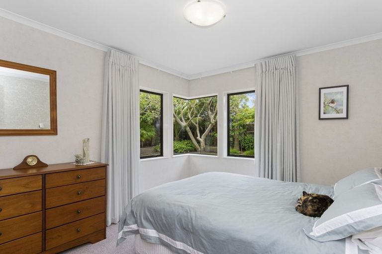 Photo of property in 14 Abelia Avenue, Mount Maunganui, 3116