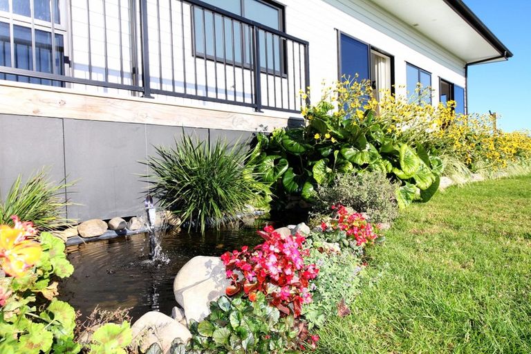 Photo of property in 44 Paerata Ridge Road, Waiotahe, Opotiki, 3198