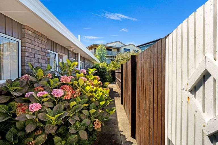 Photo of property in 54b Treadwell Street, Springvale, Whanganui, 4501