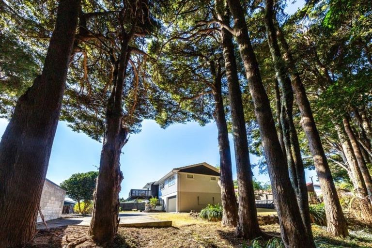 Photo of property in 77 David Avenue, Hillpark, Auckland, 2102