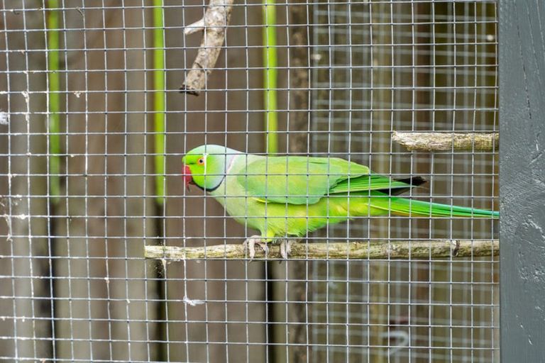 Photo of property in 48 Armitage Road, Wellsford, 0900