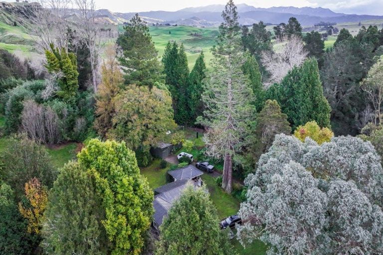 Photo of property in 48 Little Bush Road, Puketitiri, Napier, 4184