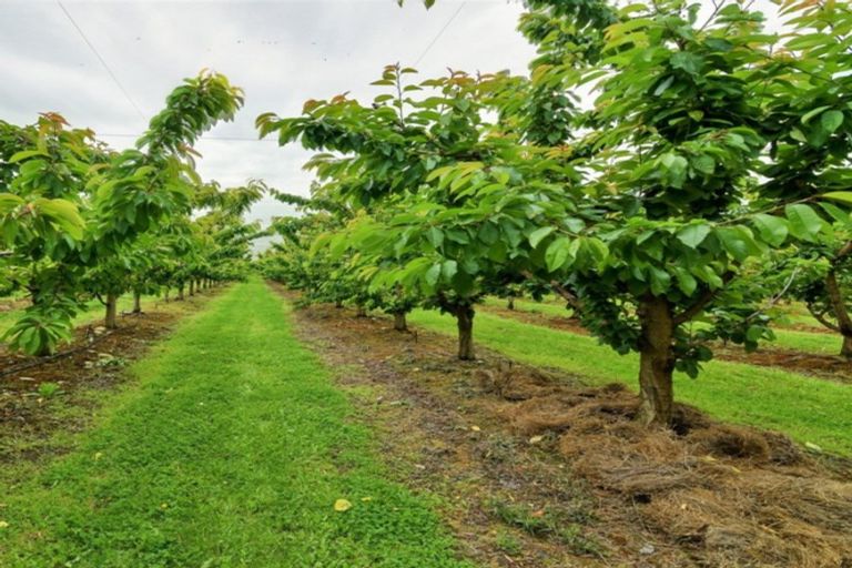 Photo of property in 66 Gladsmuir Road, Queensberry, Cromwell, 9383