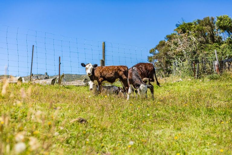 Photo of property in 68a Marchant Road, Kaitoke, Upper Hutt, 5018