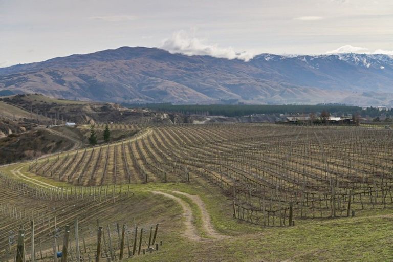 Photo of property in 1 Cairnmuir Crescent, Cromwell, 9310