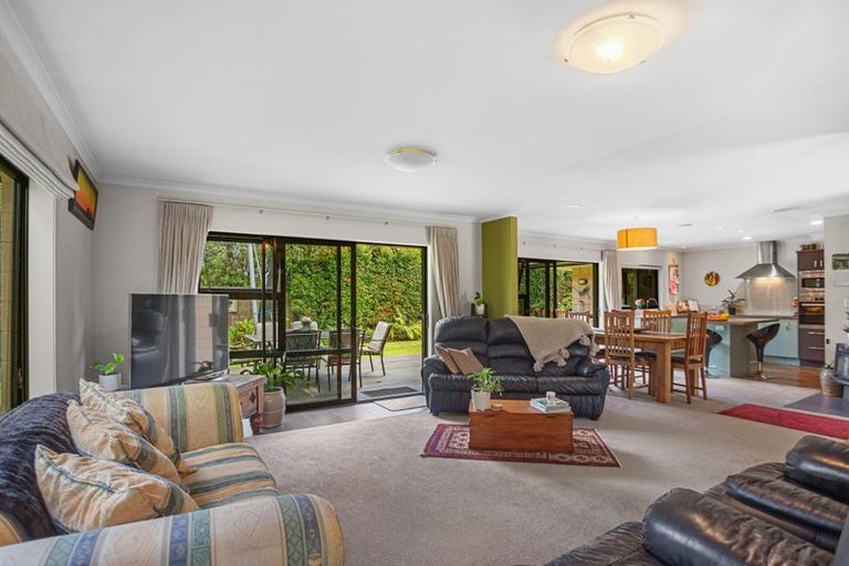 Photo of property in 248 Plummers Point Road, Whakamarama, Tauranga, 3172