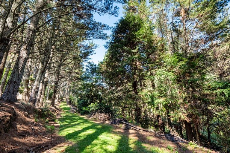 Photo of property in 168 Youngson Road, Whakamarama, Tauranga, 3179