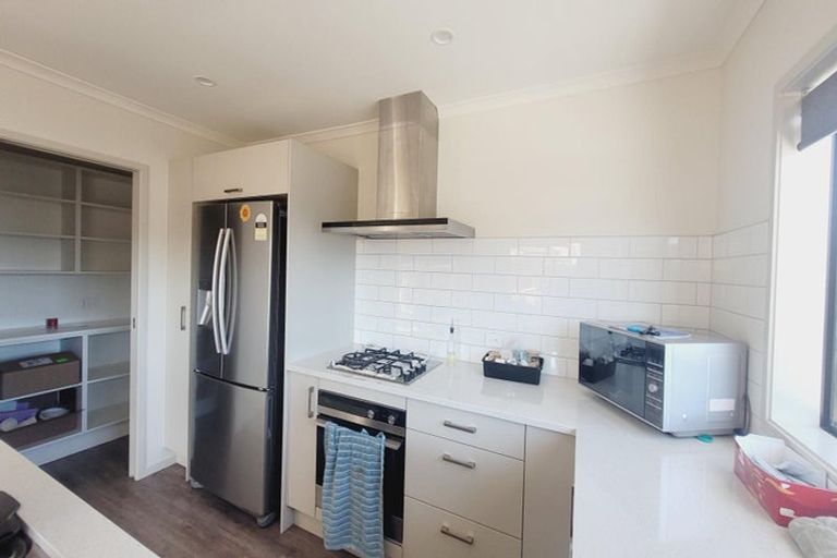 Photo of property in 137 John Burke Drive, Aotea, Porirua, 5024