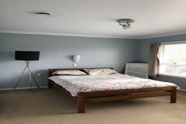 Photo of property in 15 Lancaster Street, Levin, 5510