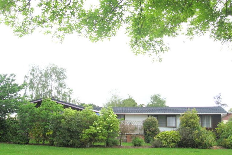 Photo of property in 2 Mcdonald Place, Paeroa, 3600