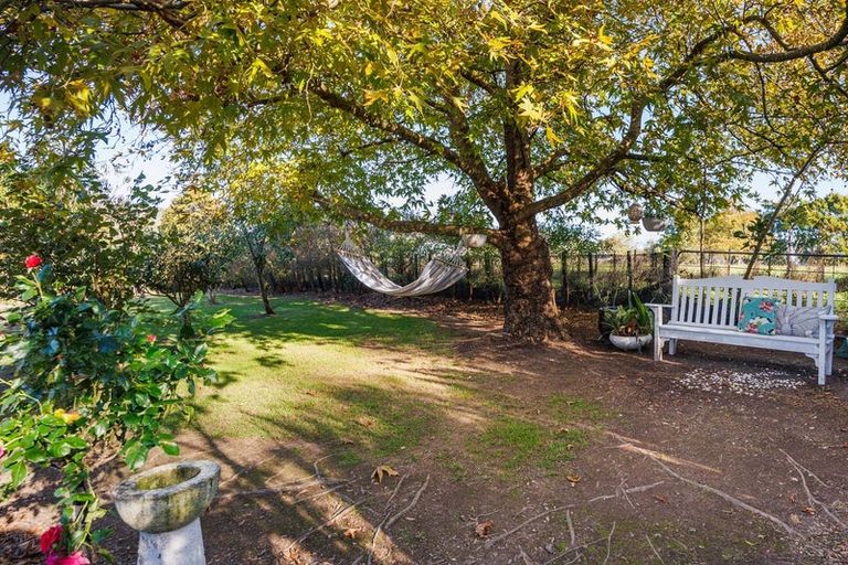 Photo of property in 849a Makerua Road, Tokomaru, Palmerston North, 4474