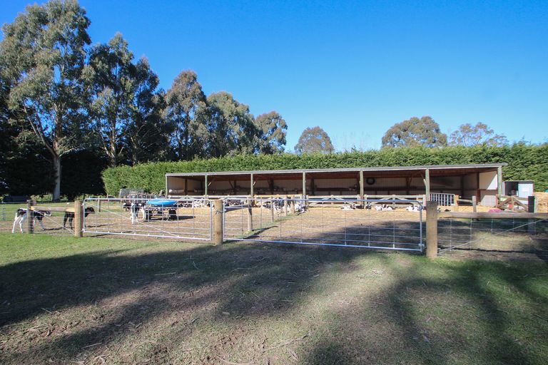 Photo of property in 214 Ferry Road, Richmond, Oamaru, 9494