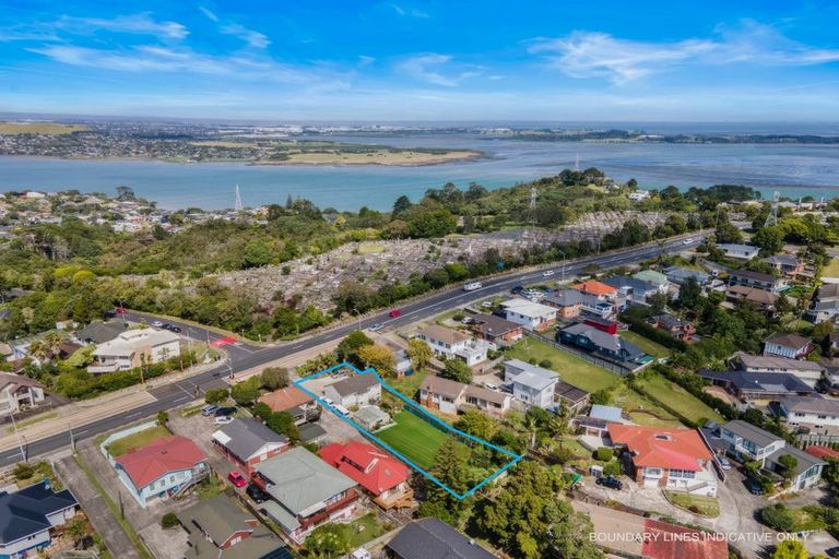 Photo of property in 255 Hillsborough Road, Hillsborough, Auckland, 1042