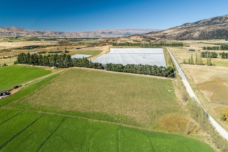 Photo of property in 72 Queensberry Terrace, Queensberry, Cromwell, 9383