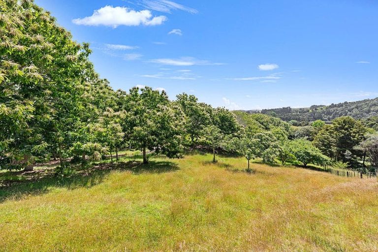 Photo of property in 50 Waitoki Road, Waitoki, Kaukapakapa, 0871