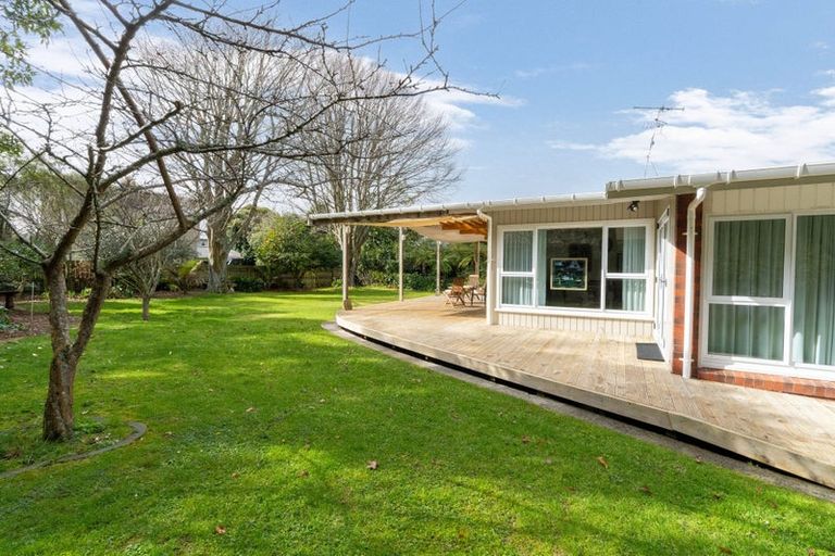 Photo of property in 21 Macarthur Street, Levin, 5510