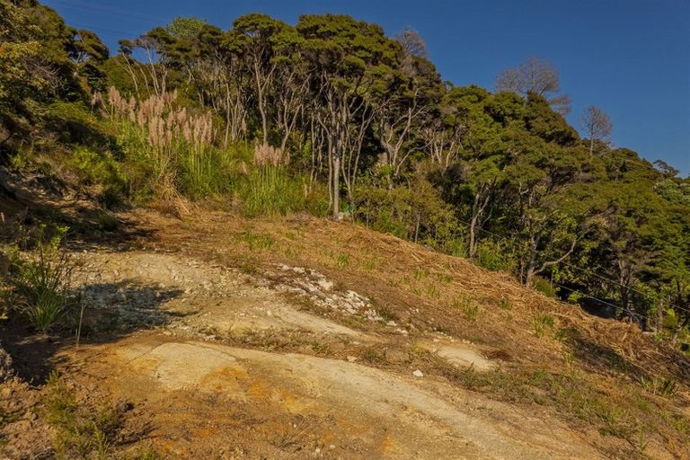 Photo of property in 1067 Purangi Road, Ferry Landing, Whitianga, 3591