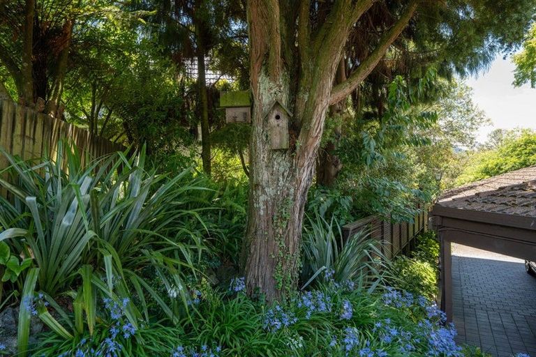 Photo of property in 24 Wychwood Crescent, Springfield, Rotorua, 3015