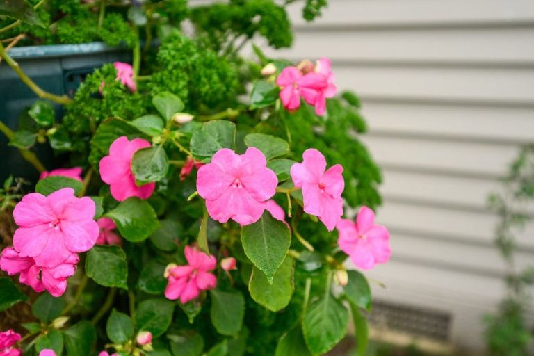 Photo of property in 10 Fairview Avenue, Feilding, 4702