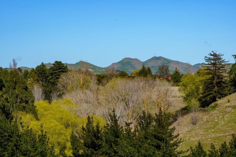 Photo of property in 224 Durham Drive, Havelock North, 4130