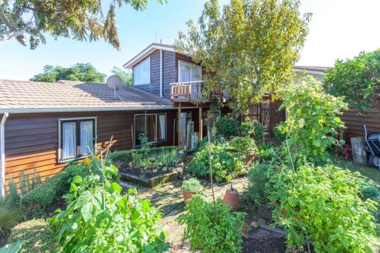 Photo of property in 10 Springfield Avenue, Ngarimu Bay, Thames, 3575