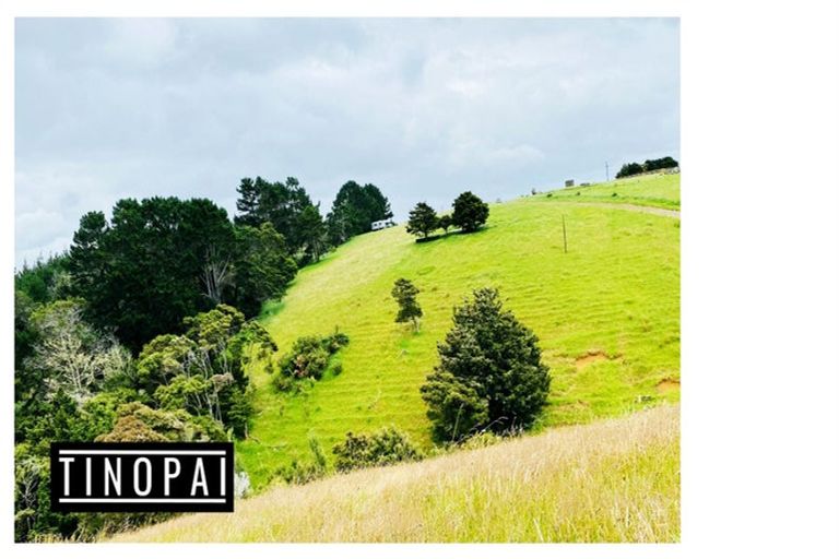 Photo of property in 1509 Tinopai Road, Tinopai, Matakohe, 0593
