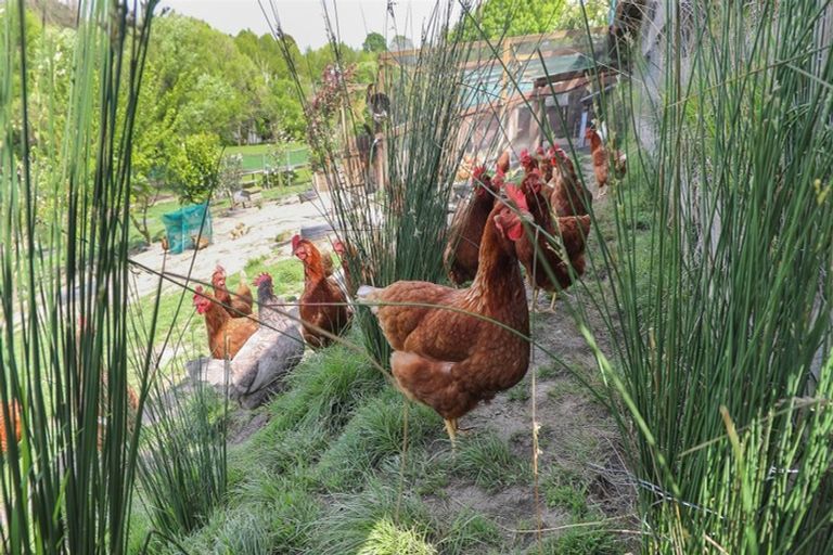 Photo of property in 6 Hakarimata Road, Ngaruawahia, 3720