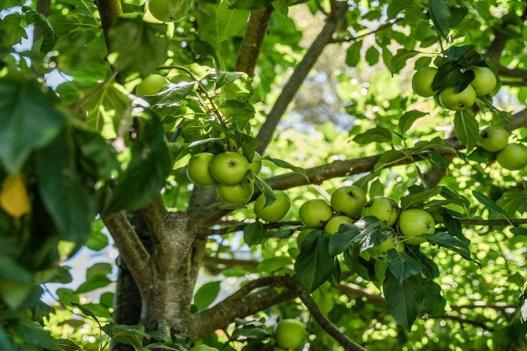 Photo of property in 26 The Circle, Nukuhau, Taupo, 3330