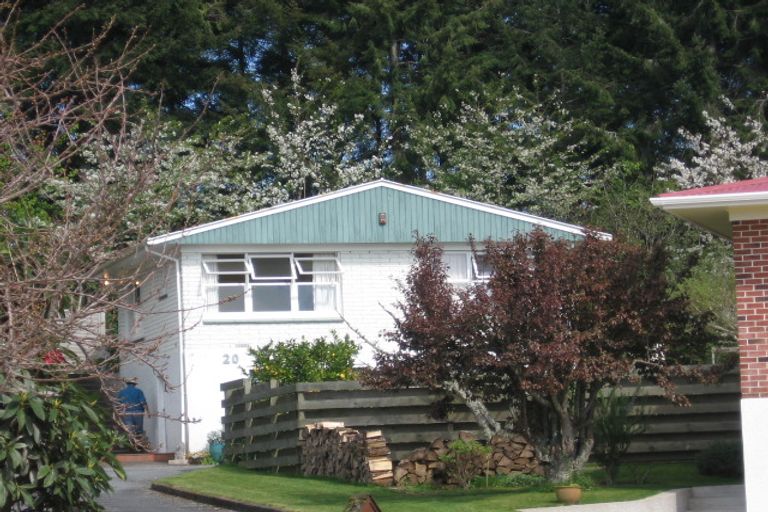 Photo of property in 20a Mcdowell Street, Springfield, Rotorua, 3015