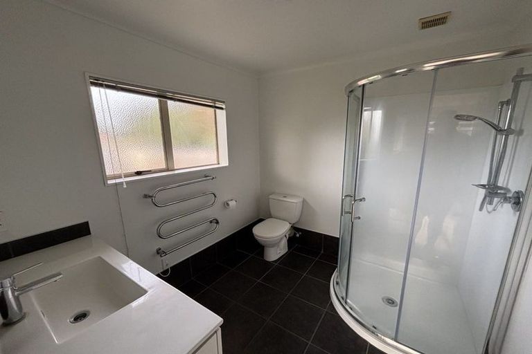 Photo of property in 11 Stella Place, Chartwell, Hamilton, 3210