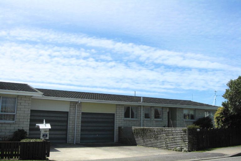 Photo of property in 18 Brewer Street, Blenheim, 7201