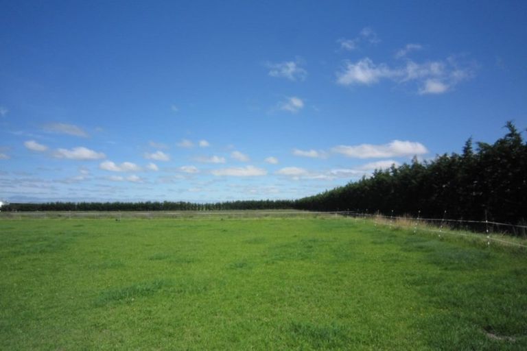 Photo of property in 535 Seadown Road, Seadown, Timaru, 7973