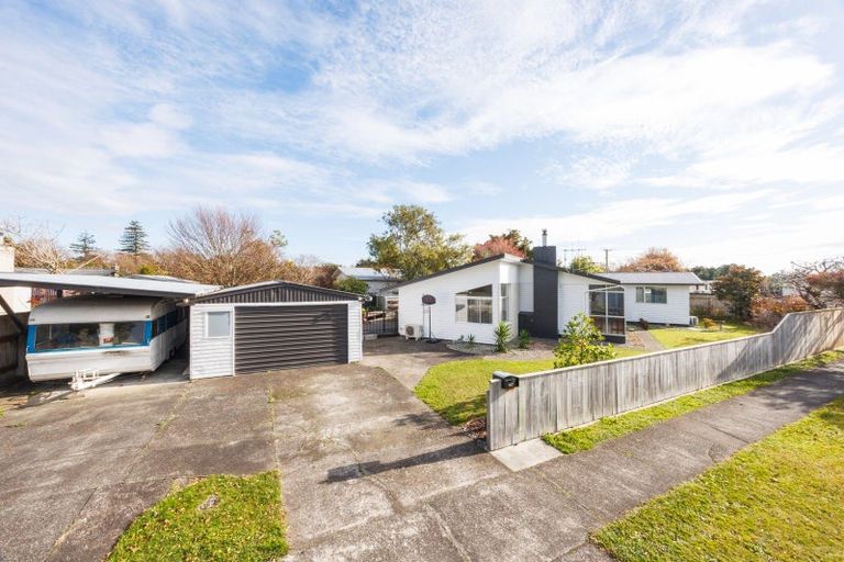 Photo of property in 147 Stanford Street North, Ashhurst, 4810