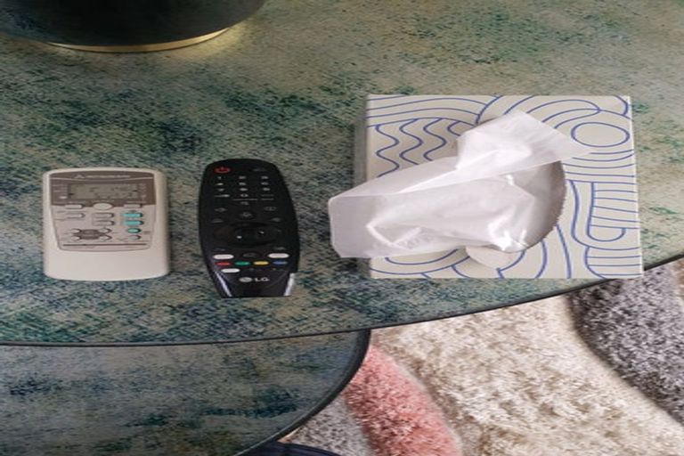 Photo of property in 55 Coronation Road, Hillcrest, Auckland, 0627