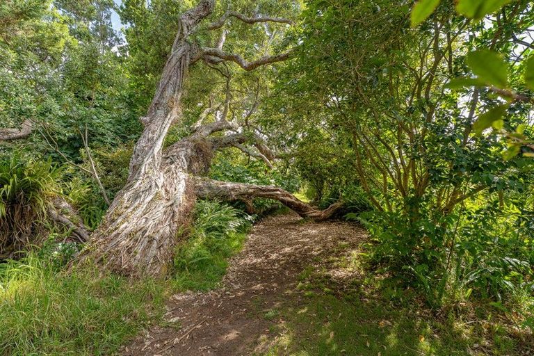 Photo of property in 38 Robinson Road, Whitianga, 3510