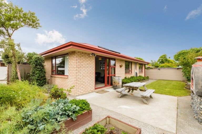 Photo of property in 61 Litchfield Street, Redwoodtown, Blenheim, 7201