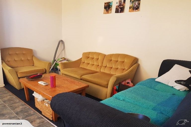 Photo of property in 15 Brook Street, North Dunedin, Dunedin, 9016