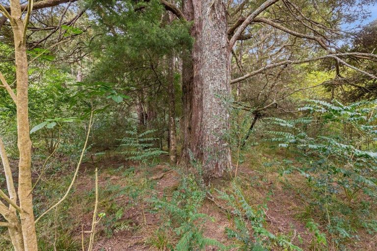 Photo of property in 873 Whangaripo Valley Road, Whangaripo, Wellsford, 0972