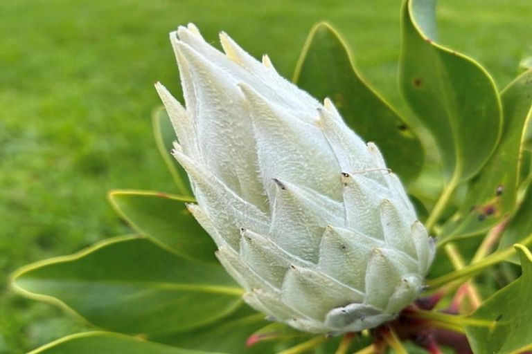 Photo of property in 410 Mahuta Road, Mahuta, Dargaville, 0371