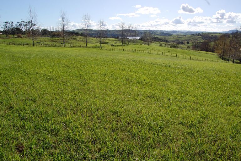 Photo of property in 54 Rangiora Road, Kaiwaka, 0573