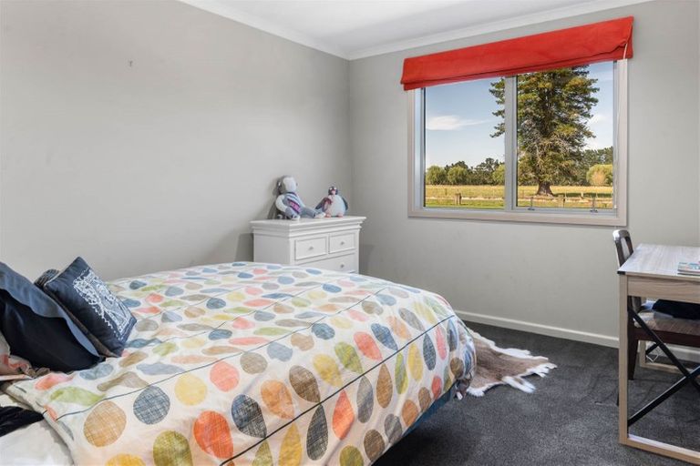 Photo of property in 169 Horomanga Road, Galatea, Murupara, 3079