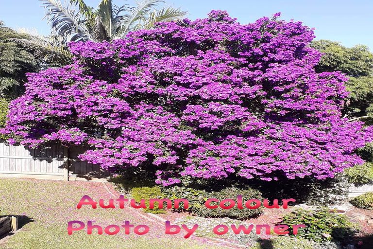 Photo of property in 25 Fairway Drive, Kerikeri, 0230