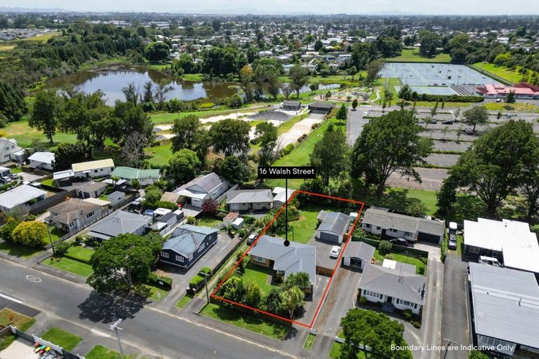 Photo of property in 16 Walsh Street, Forest Lake, Hamilton, 3200