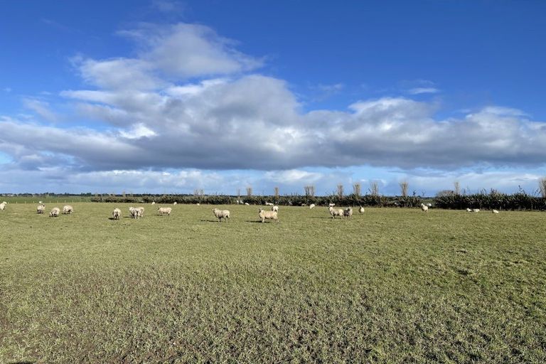 Photo of property in 449 Fraser Road, Lochiel, Winton, 9781