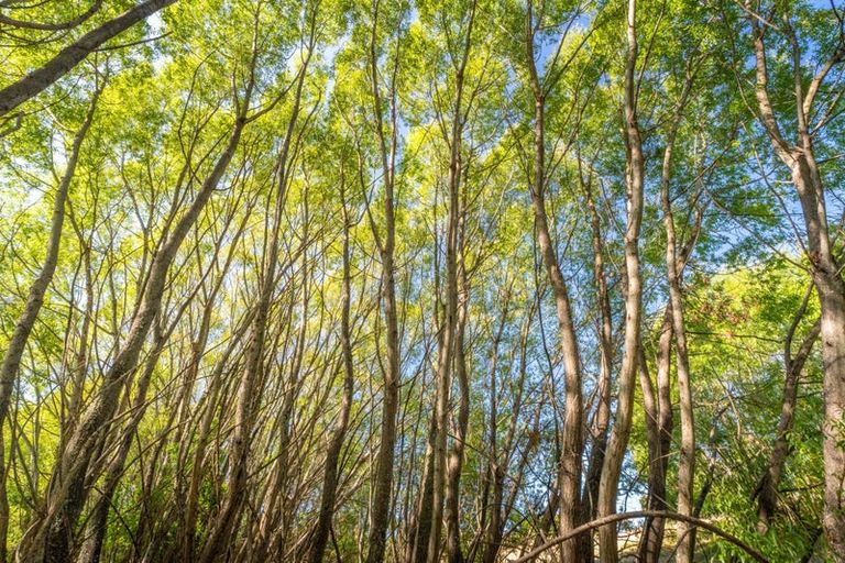 Photo of property in 50 Cliff Road, Tasman, Upper Moutere, 7173