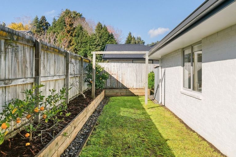 Photo of property in 36 Mervyn Place, Ohauiti, Tauranga, 3112