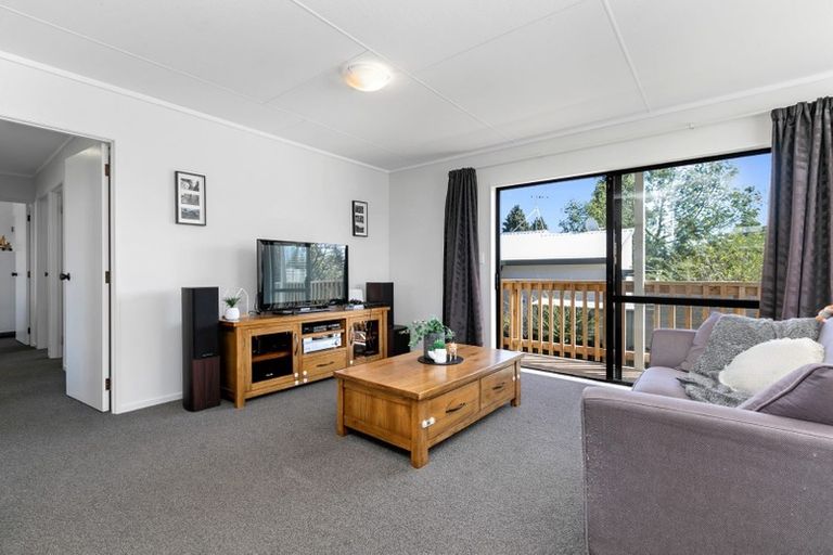 Photo of property in 33 Ohauiti Road, Hairini, Tauranga, 3112